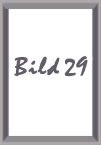 b29