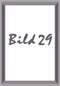b29_kl
