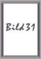 b31_kl